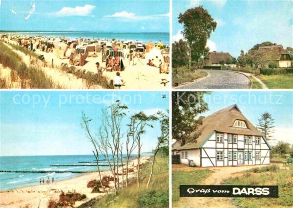 Darss Region Ostsee Prerow Weststrand Born Wieck Friesenhau
