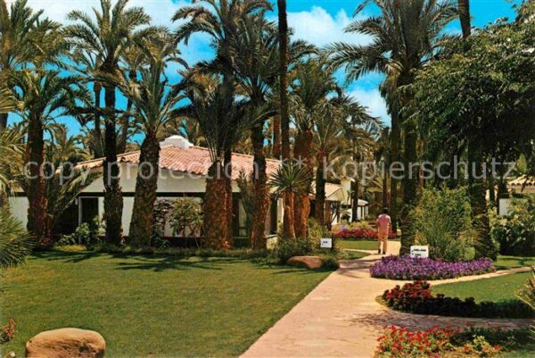 Elche Hotel Huerto del Cura Detalle
