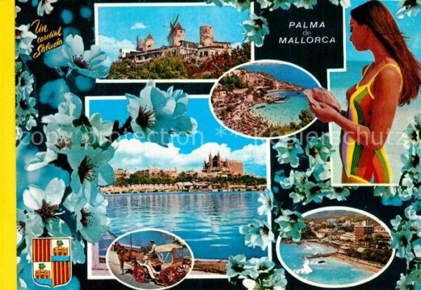 Palma de Mallorca Windmühlen Cathedrale Strand Pferdekuts