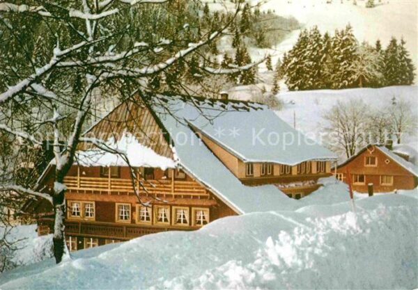 Bernau Schwarzwald Gasthaus Pension Reinhardshof Winterlan