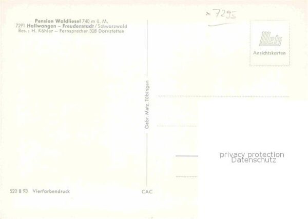 Hallwangen Pension Waldliesel – Bild 2