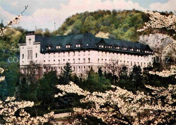 Vallendar Exerzitienhaus Schönstatt Baumblüte
