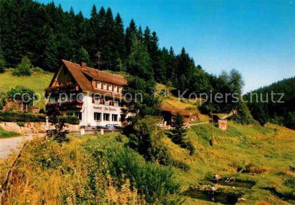 Schorrental Besenfeld Gasthof Pension Zur Forelle Schwarzwald