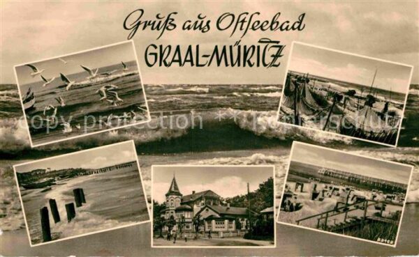 Graal-Mueritz Ostseebad Möwen Brandung Strand Fischernetze