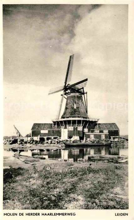 Leiden Windmühle