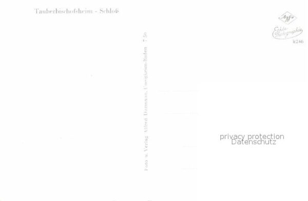 Tauberbischofsheim Schloss – Bild 2