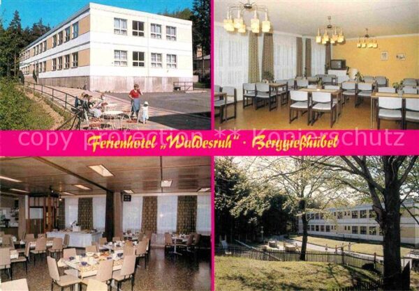 Berggiesshuebel Hotel Waldesruh Fernsehraum Speisesaal