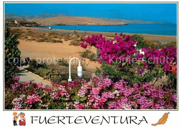 Costa Calma Panorama