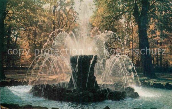Peterhof St Petersburg Brunnen Snop