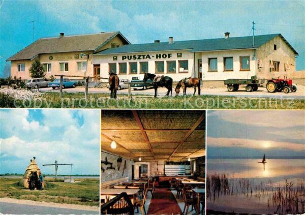 Illmitz Puszta Hof mit Kellerstüberl und Seewin