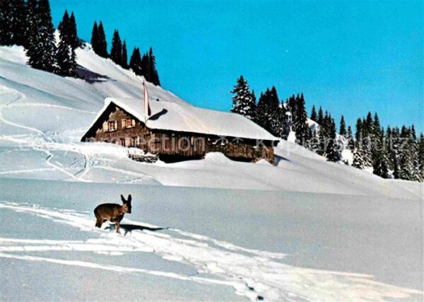 Balderschwang Burglhütte am Feuerstätterkopf Winterla