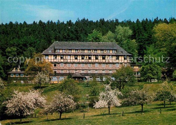 Bad Karlshafen Gästehaus Diemeltal Baumblüte