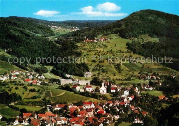 Sasbachwalden Blumen und Weinort im Schwarzwald Flieg
