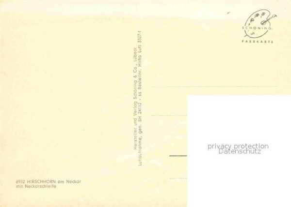 Hirschhorn Neckar Neckarschleife Fliegeraufnahme – Bild 2