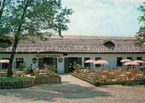 Szantodpuszta Menes Schenke