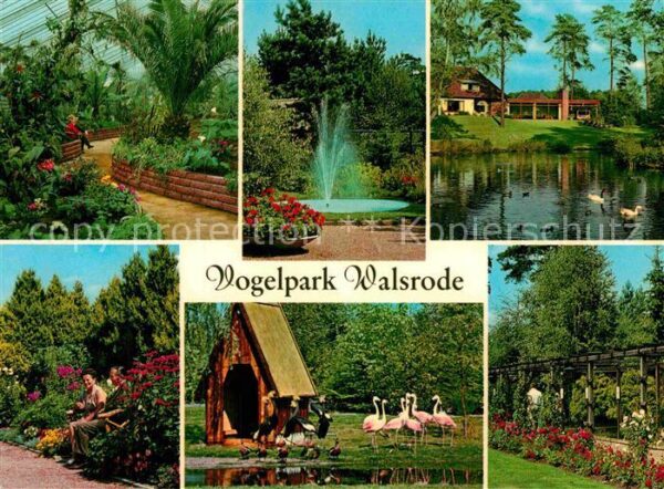 Walsrode Lueneburger Heide Vogelpark Walsrode Fontäne Schwanenteic