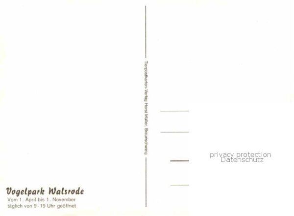 Walsrode Lueneburger Heide Vogelpark Walsrode Fontäne Schwanenteic – Bild 2