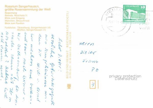 Sangerhausen Suedharz Rosarium Rosenhang Belinda Moschata Ein – Bild 2