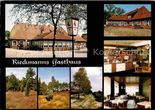 Behringen Bispingen Rieckmanns Gasthaus Theke Gastraum