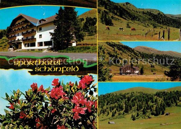 Schoenfeld Lungau Sporthotel Schönfeld Panorama