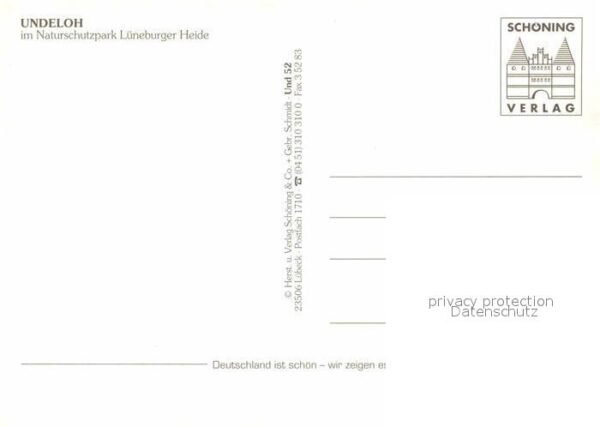 Undeloh Naturschutzpark Lüneburger Heide Pferde – Bild 2