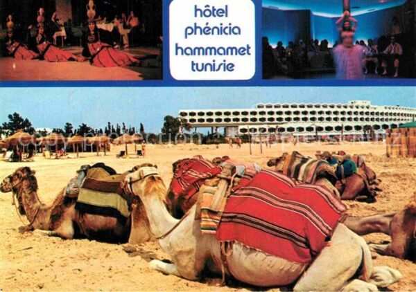 Hammamet Hotel Phenicia Kamele am Strand