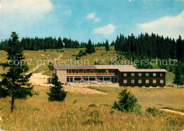 Feldberg Schwarzwald Berghotel Herzogenhorn