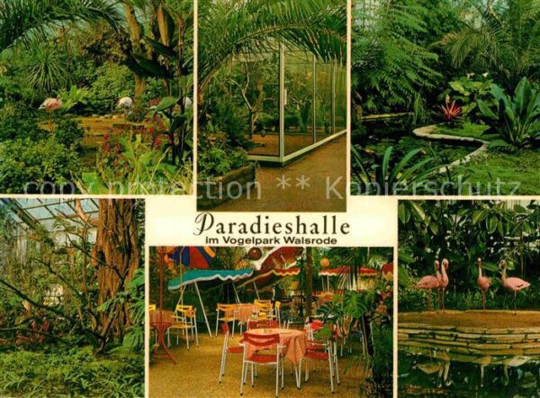 Walsrode Lueneburger Heide Vogelpark Paradieshalle Details