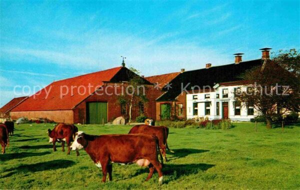 Groningen Boerderij