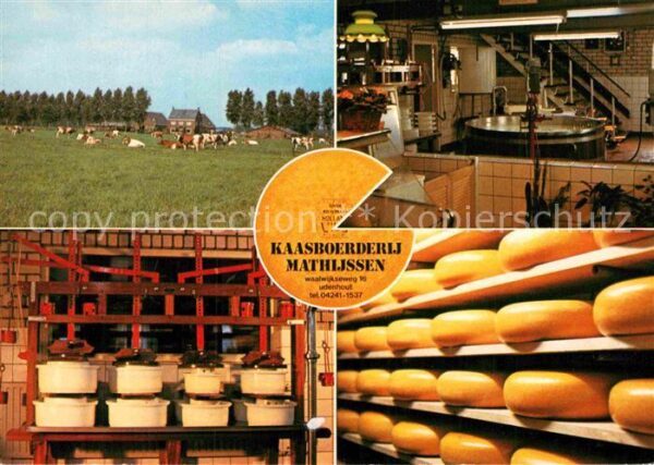 Udenhout Kassboerderij Mathijssen