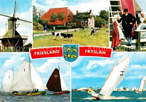 Friesland Emden Segelboot Kühe Windmühle