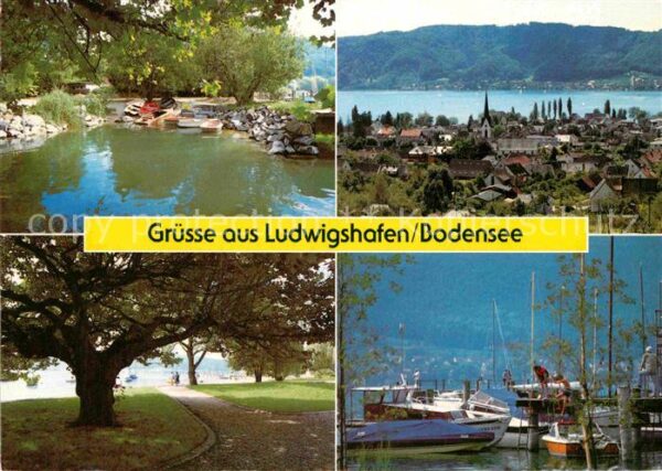 Ludwigshafen Bodensee Hafen Park