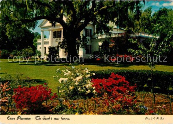 Wilmington North Carolina Orton Plantation Gardens