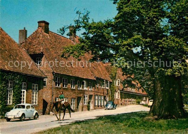 Preetz Holstein Kloster-Idyll Pferd