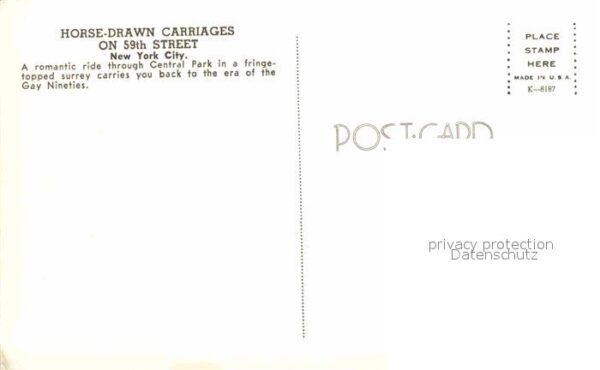 New York City Horse Drawn Carriages 59th Street Pferd – Bild 2