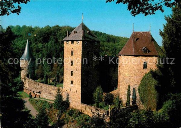 Waimes Reinhardstein Burg-Metternich