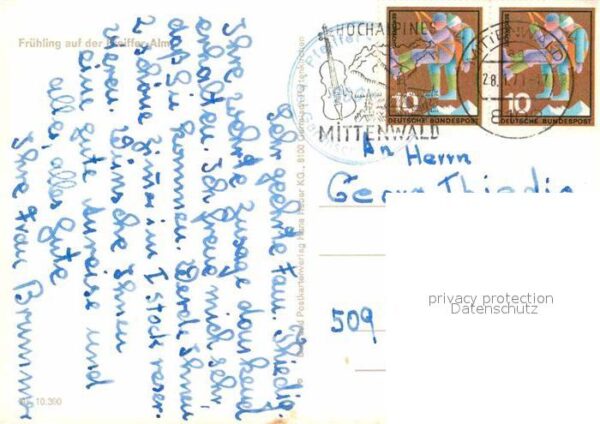 Mittenwald Bayern Pfeiffer Alm Kühe – Bild 2