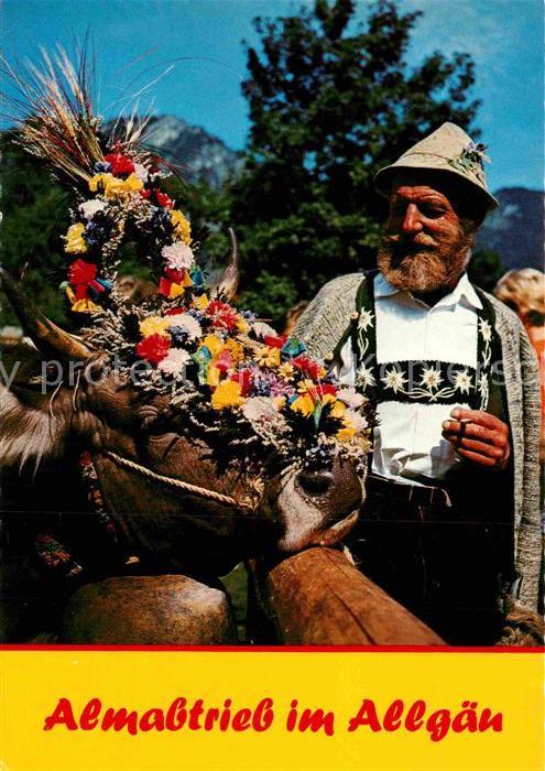 Kuehe Almabtrieb Allgäu