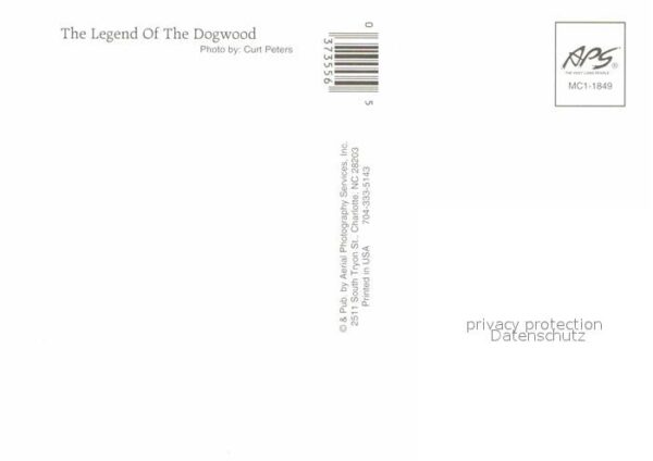 Blumen The Legend of the Dogwood – Bild 2
