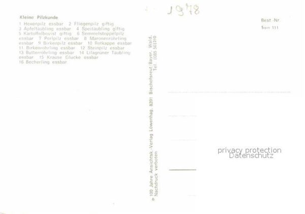 Lebensmittel Pilzkunde Hexenpilz Fliegenpilz Apfeltä – Bild 2