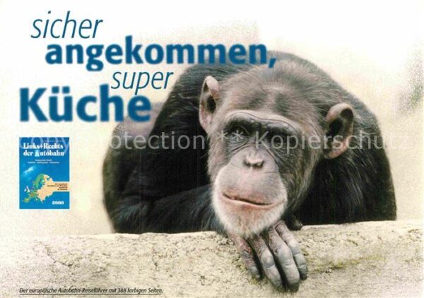 Affen Werbung Autobahn-Reiseführer