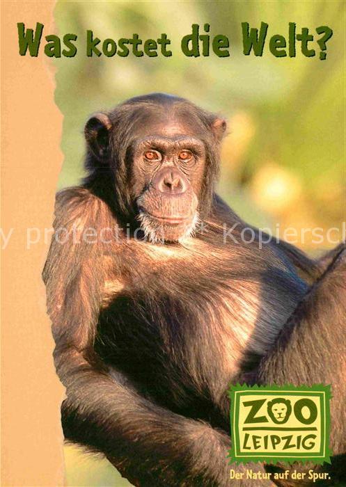 Affen Zoo Leipzig Jahreskarte