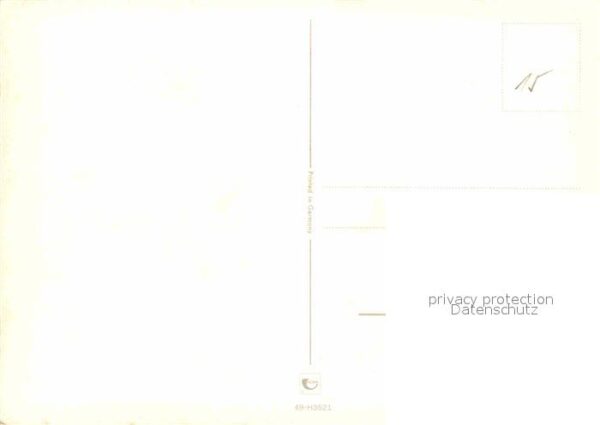 Affen – Bild 2