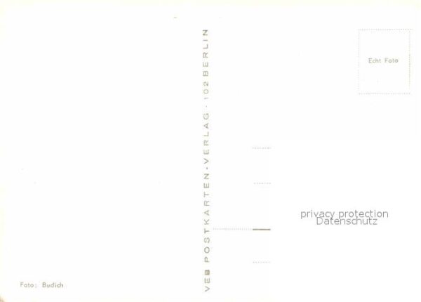 Affen – Bild 2