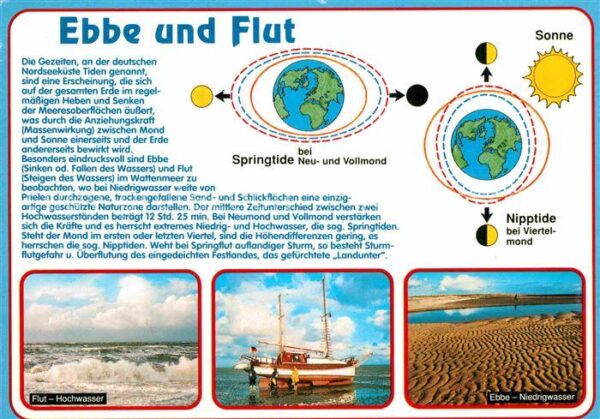 Wissenschaft Science Ebbe und Flut Springtide Nipptide