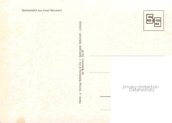 Pferde Wattenfahrt Insel Neuwerk – Bild 2