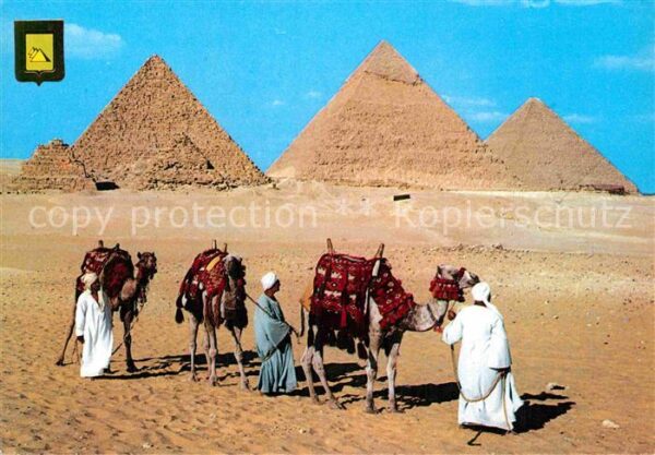 Kamel  Camel Chameau Giza Kheops Khephren Mycerinos Pyramids