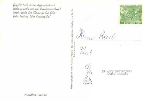 Affen Hutaffen-Familie – Bild 2
