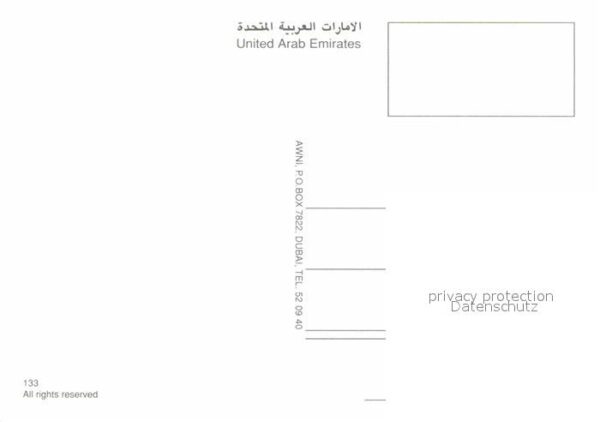 Kamel  Camel Chameau United Arab Emirates – Bild 2