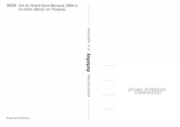 Bernhardiner Col du Grand-Saint-Bernard Chien Barry – Bild 2